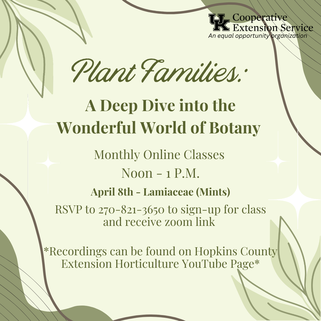 Flyer for a Monthly Online Class on March 8th, at noon, about Mints. RSVP at (270) 821-3650.