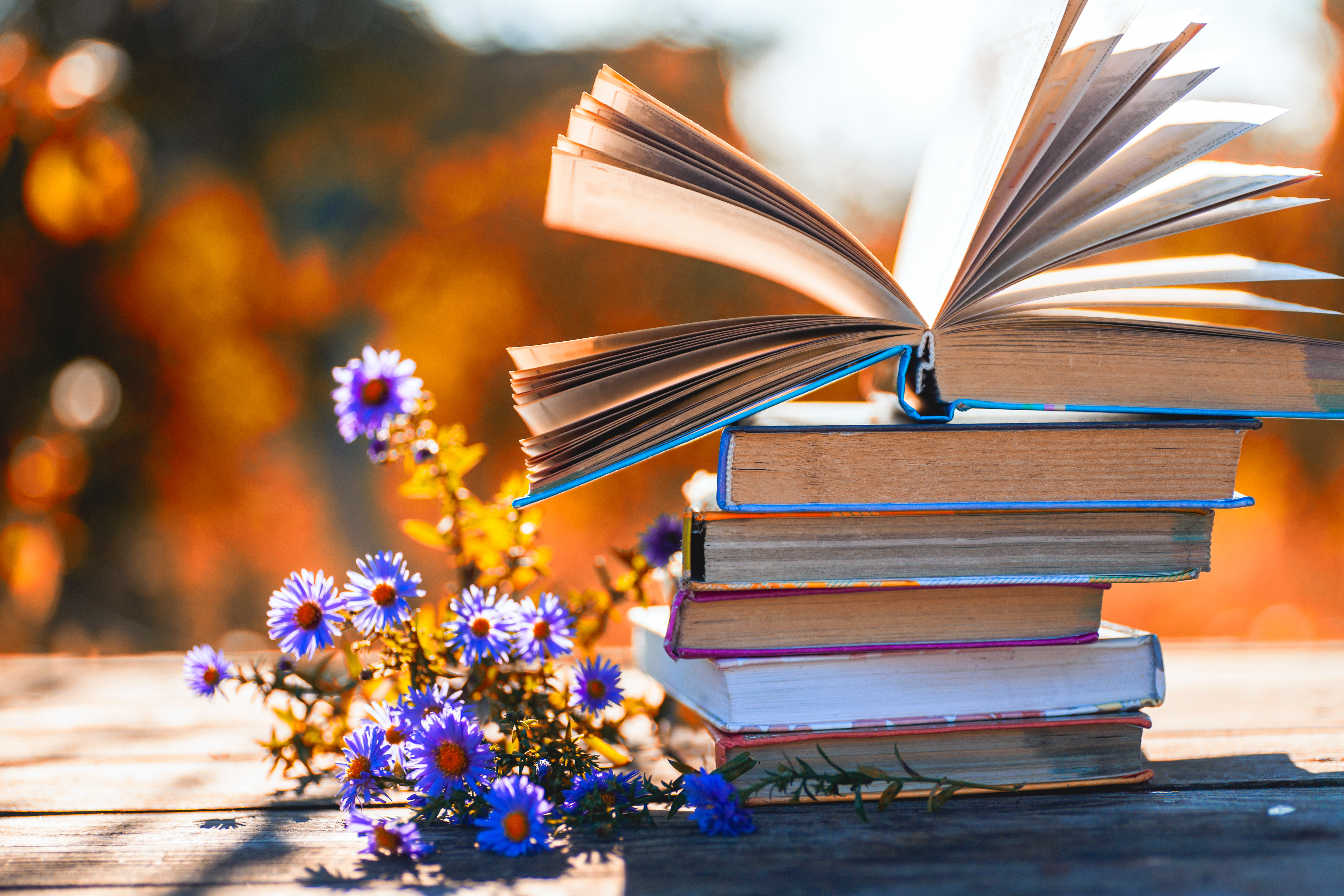 Book