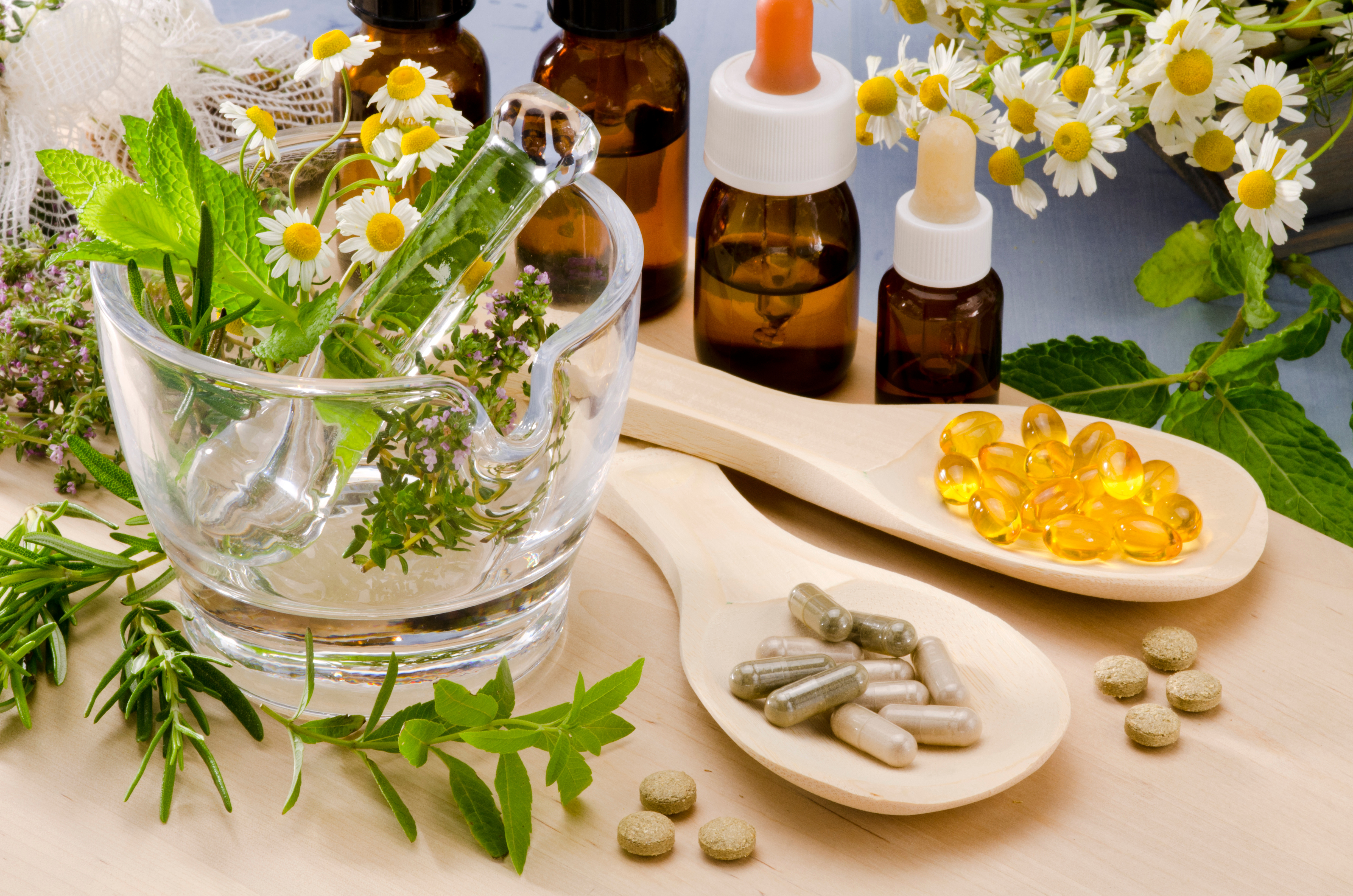 Plant Medicine