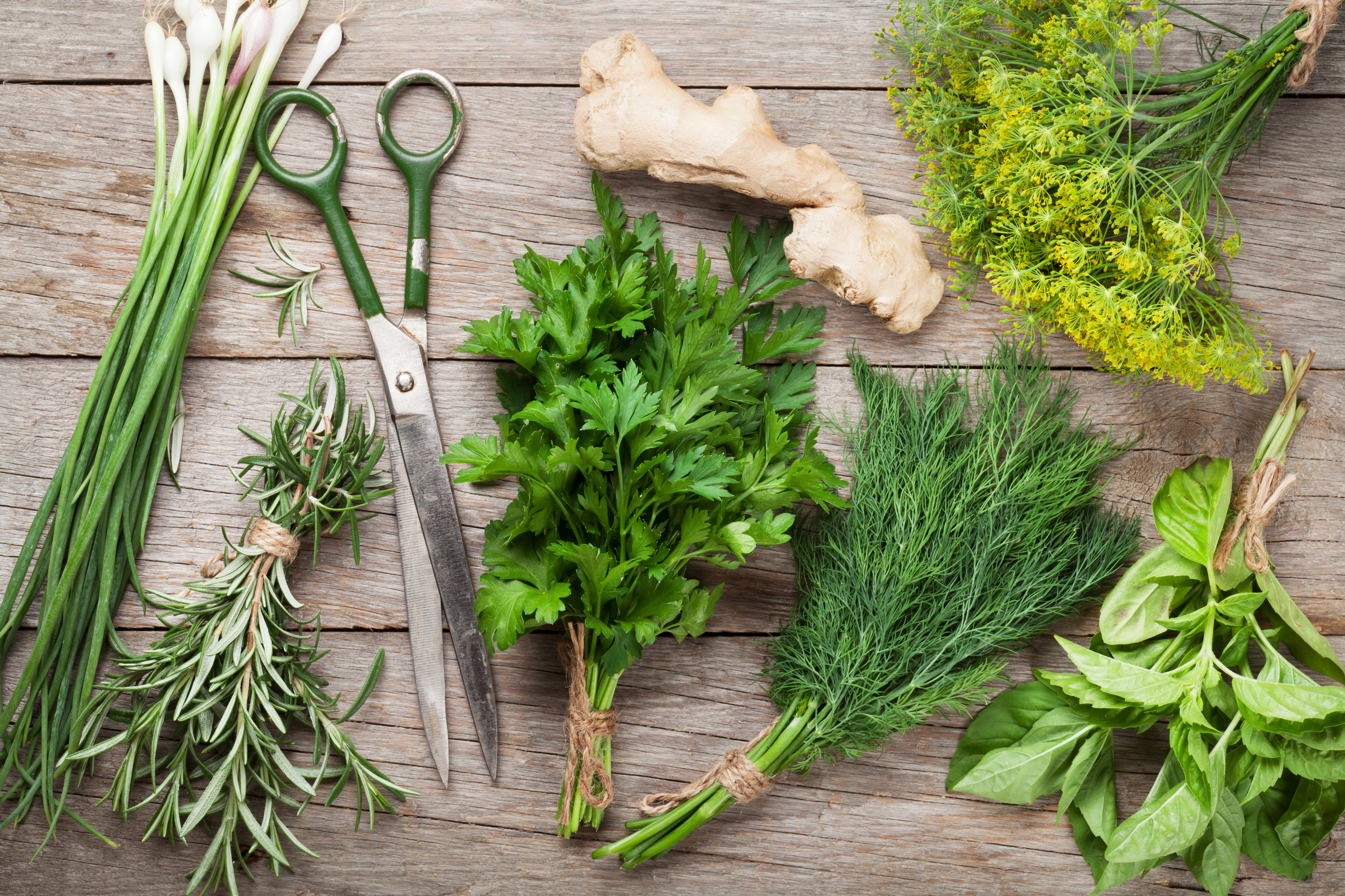Herbs on a cutting board