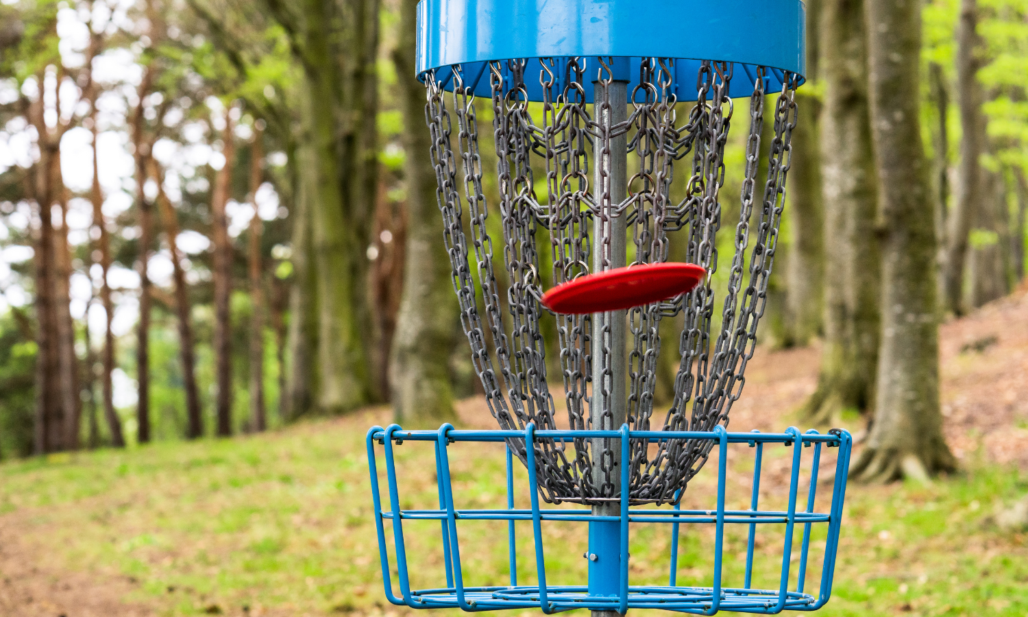 Disc Golf Net with Disc