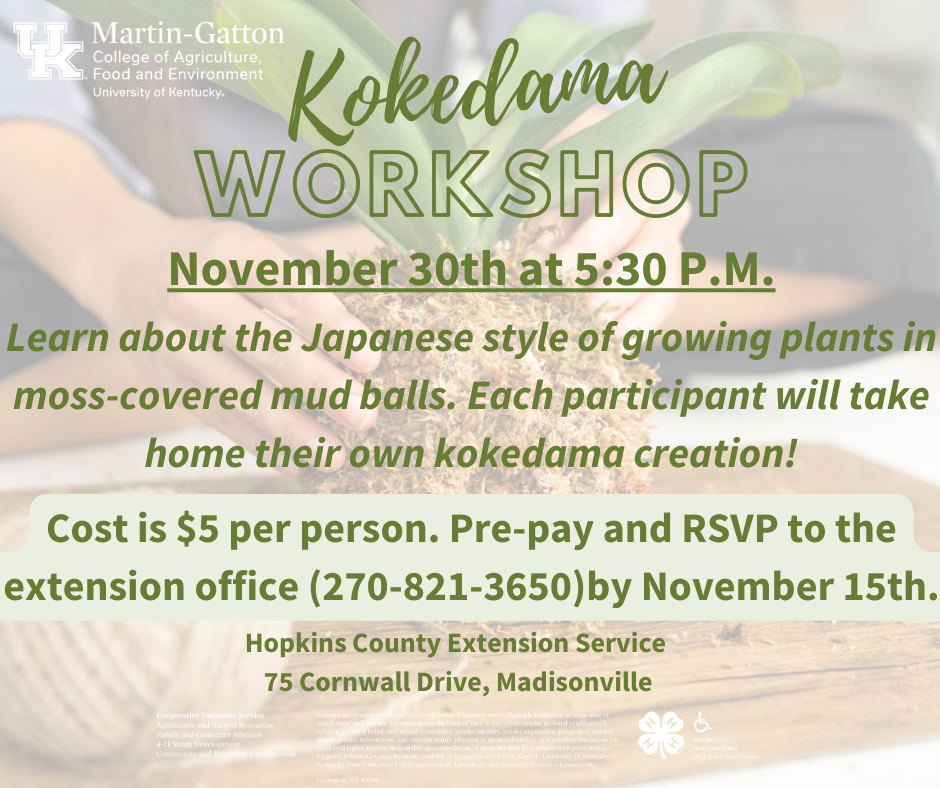 Kokedama Workshop November 30th @ 5:30