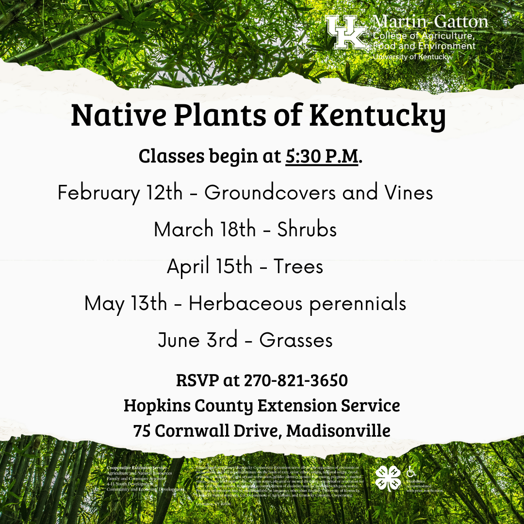 Native Plants of Kentucky