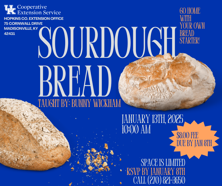 Sourdough Bread Course January 13, 2025 at 10AM