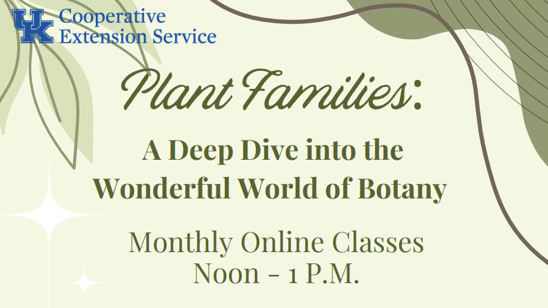 Plant Families: A Deep Dive into the Wonderful World of Botany; Monthly Online Classes 