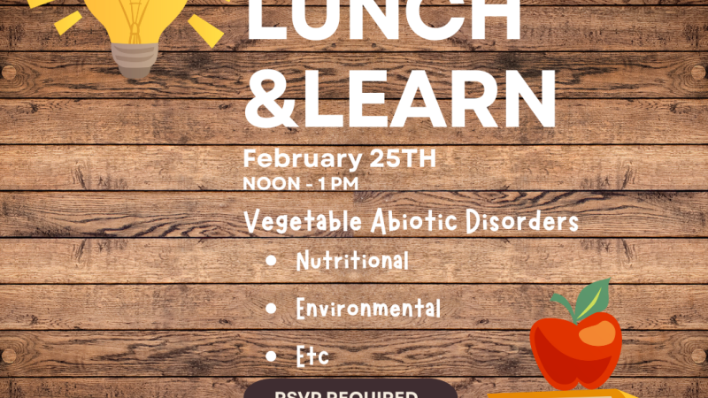 Flyer for a Lunch & Learn event on February 25th, from Noon to 1pm, about vegetable abiotic disorders, covering nutritional and environmental issues. RSVP required at (270) 821-3650.