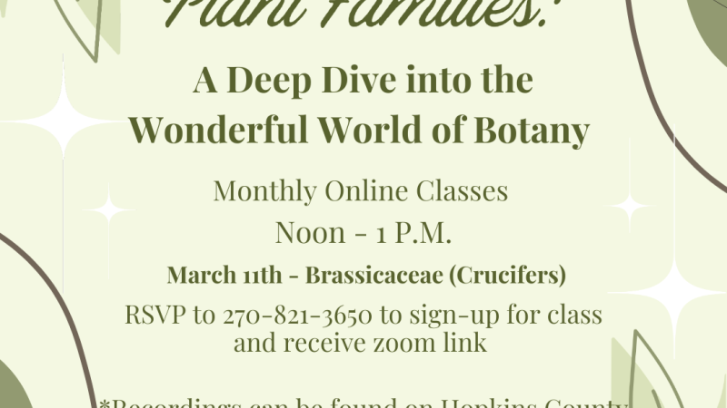 Flyer for a Monthly Online Class on March 11th, at noon, about Crucifers. RSVP at (270) 821-3650.