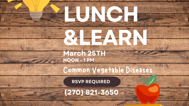 Flyer for a Lunch & Learn event on March 25th, from Noon to 1pm, about common vegetable diseases. RSVP is required at (270) 821-3650.